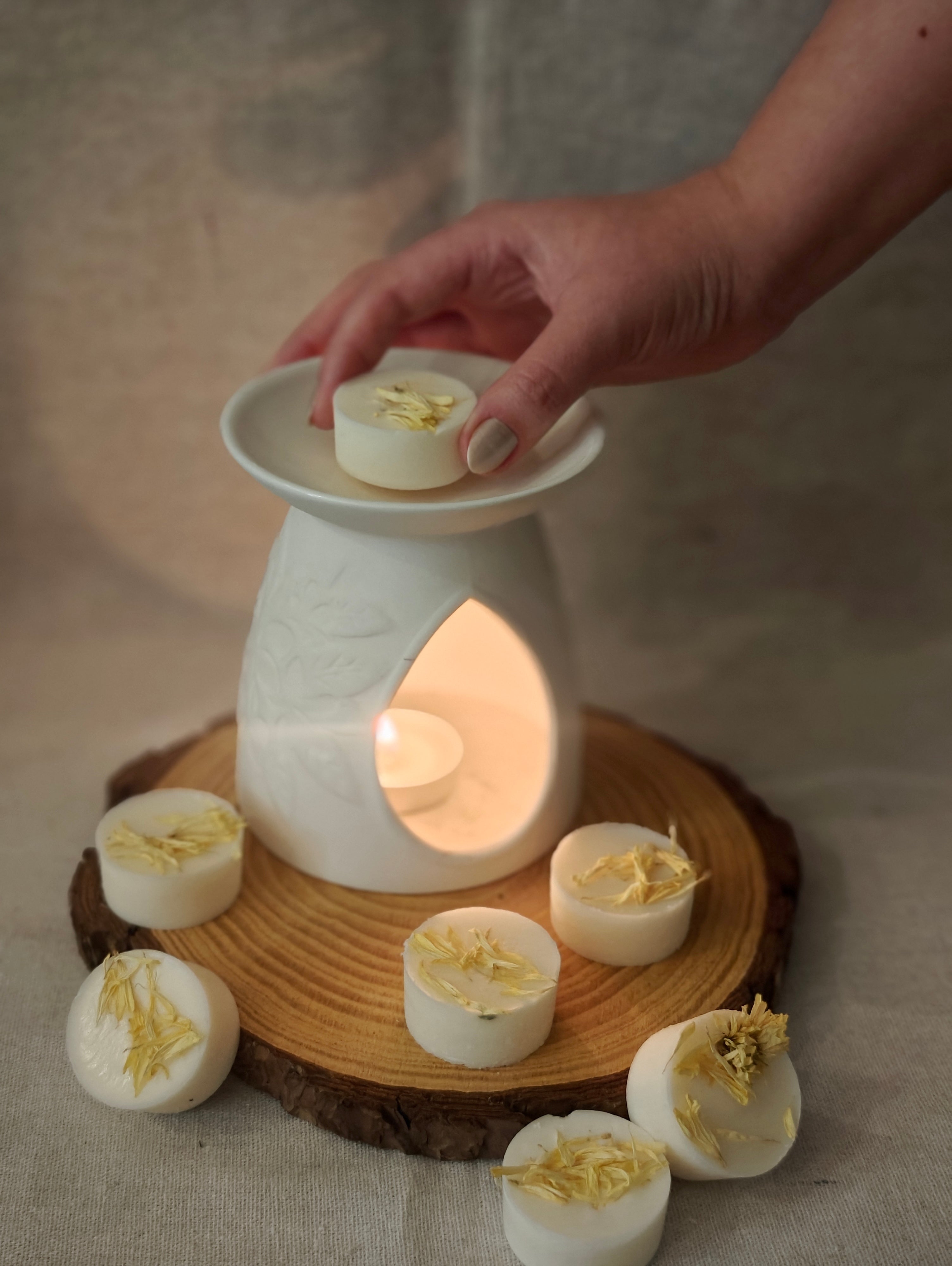 Comfy Cozy - Wax Melts