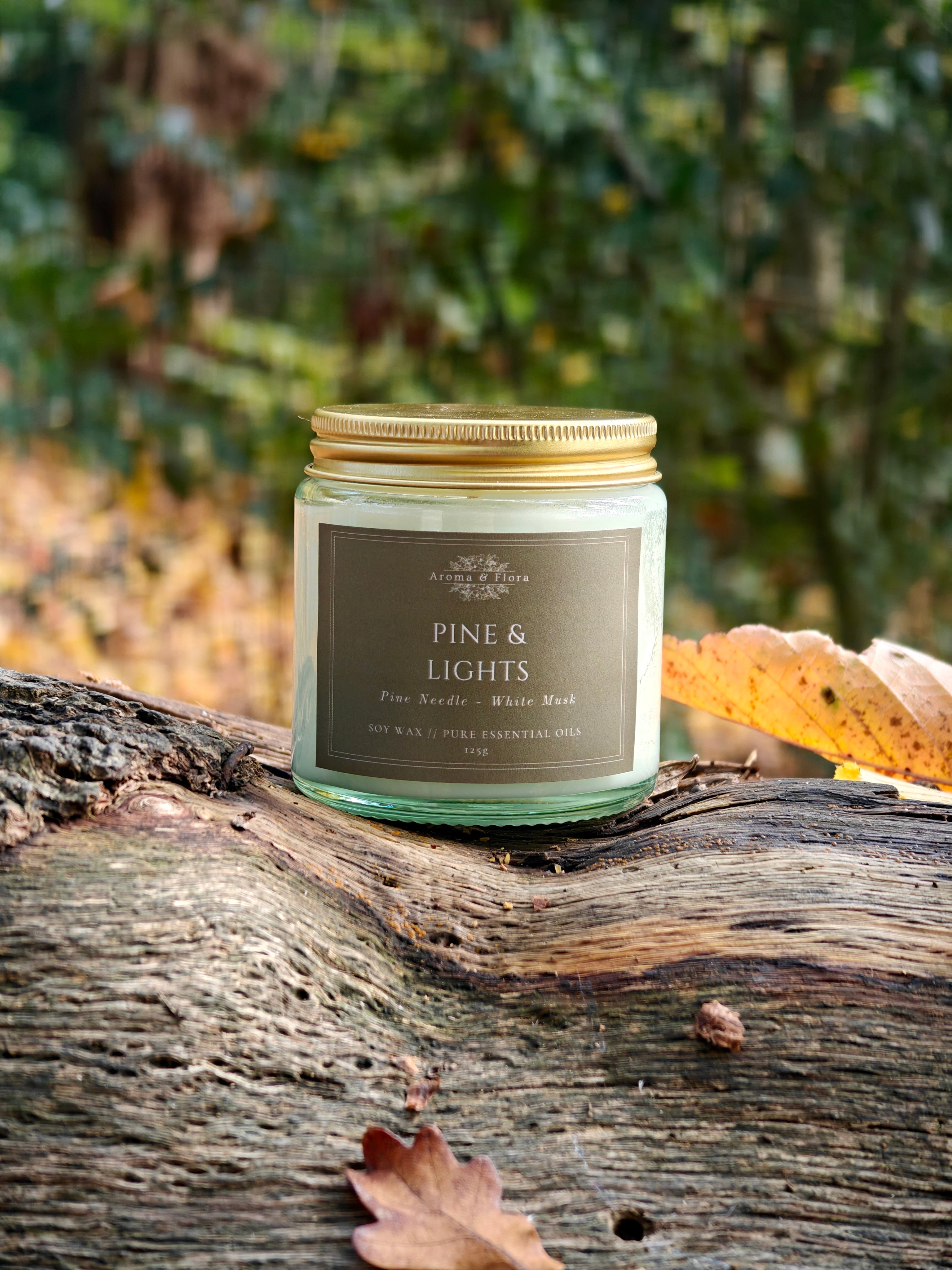 Pine & Lights - Candle